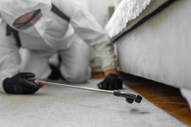 Professional Termite Control technician working in Warm Beach, WA