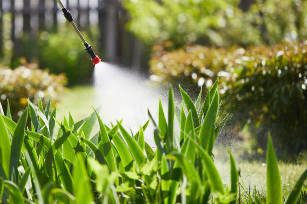24/7 Emergency Termite Control experts in Warm Beach, WA