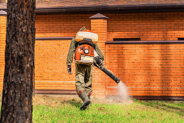 Trusted Mosquito Control service in Warm Beach, WA - Nex Pest Control